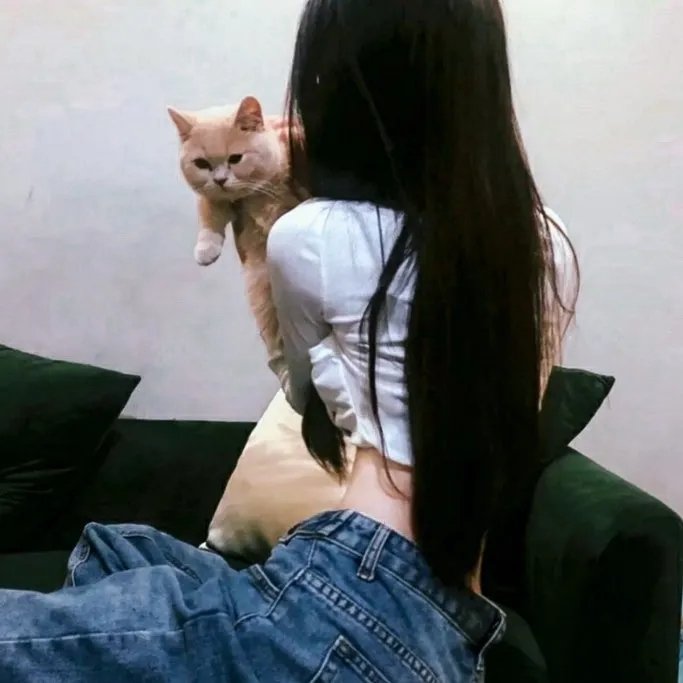 爱情导师